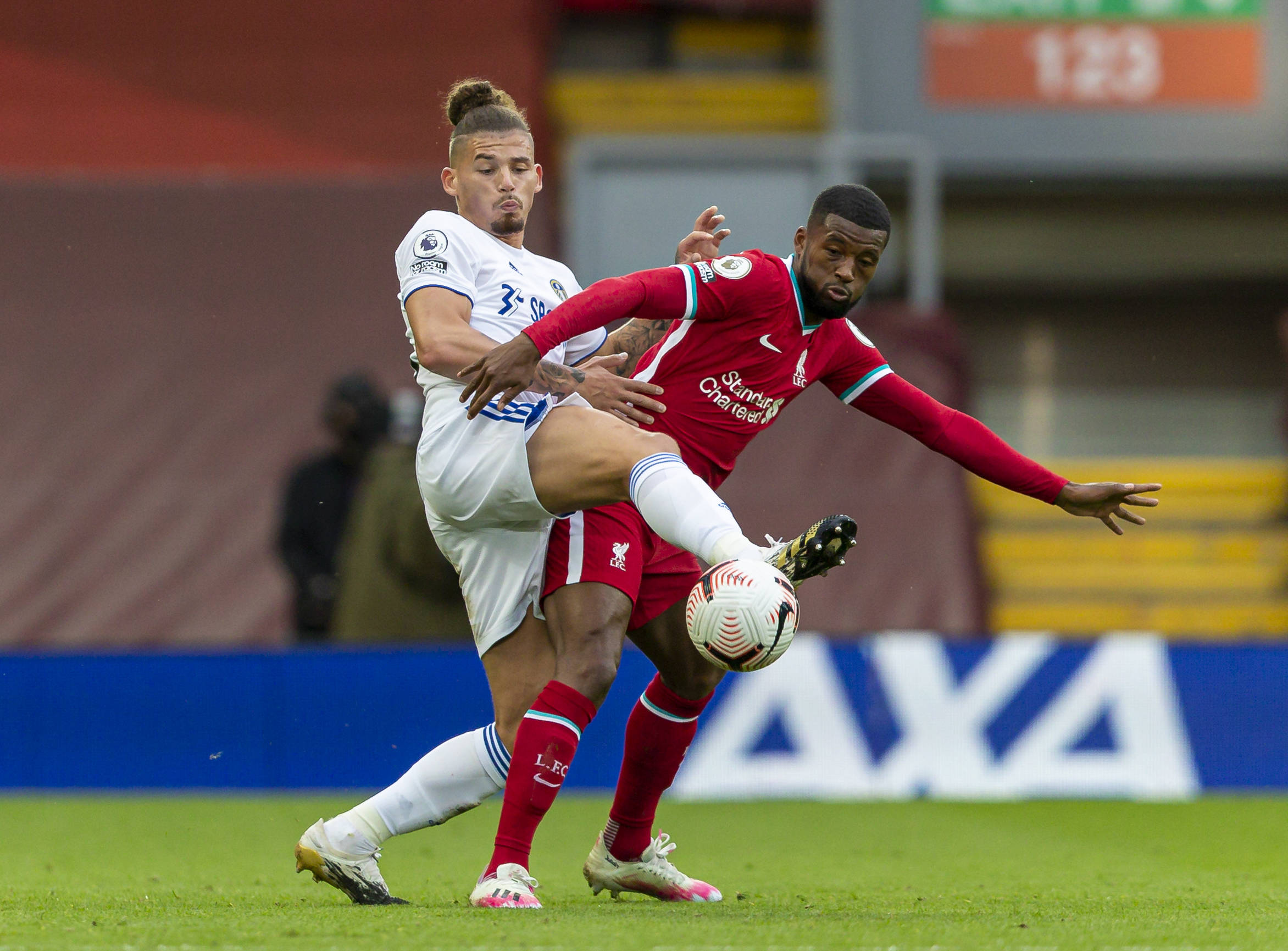 莫顿的职业 莫顿的职业